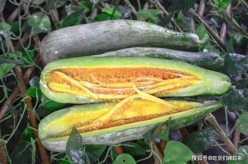 网红吃长瓜,趣味横生引网友热议  第1张