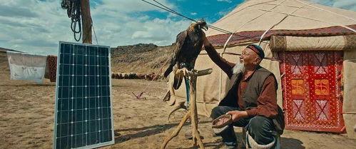 远去的牧歌爆料视频播放,揭秘视频背后的感人故事  第2张